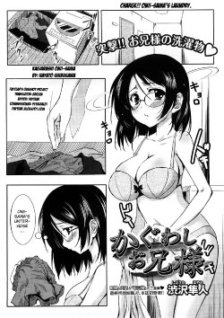[Hayato Shibusawa] Kaguwashi Onii-sama (Comic Megastore 2008-12) [German] {schmidtsst}