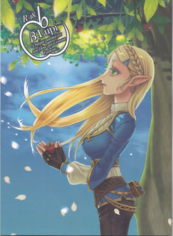 Zelda E Hentai