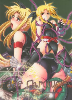 (Lyrical Magical 3) [Palette Enterprise (Various)] Fate Chronicles (Mahou Shoujo Lyrical Nanoha)