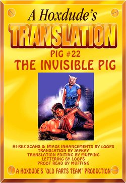 PIG #22  INVISABLE PIG - A JKSKINSFAN TRANSLATION