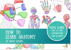 How to learn Anatomy Mitch Leeuwe