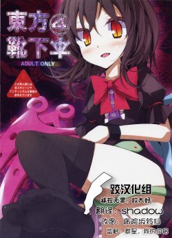 (C78) [Usotsukiya (Oouso)] Touhou Kutsushita Bon 4 | Touhou Socks Book 4 (Touhou Project) [Chinese] [跤汉化组]