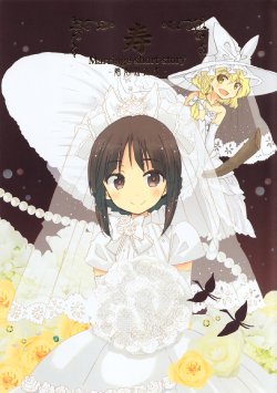(Reitaisai 10) [Rocket Nenryou 21 (Aki Eda)] Kotobuki Marriage short story -Konin Tanpenshuu- (Touhou Project)