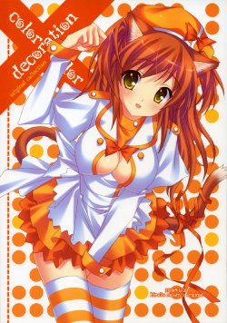 (C76) [LiZ (Satomi Hinako)] Color decoration (Various)