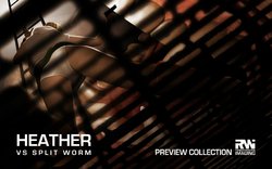Heather Vs Split Worm - Preview
