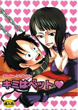 (C66) [PINK STAR (Urazawa Kaoru)] Kimi wa Pet (One Piece)