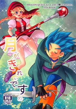 (TWINKLE MIRAGE 10) [umanicom (Umani)] Tsuki ga Kirei desu ne (Dragon Quest XI)