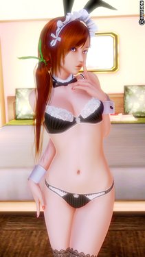Honey Select Collection