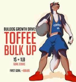 [whatinsomnia] Toffee Bulk Up!