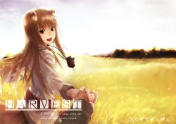 (SC52) [Ajisaidenden (Kawakami Rokkaku, Takanashi Rei)] Harvest (Spice and Wolf) [Chinese] [空気系★汉化]