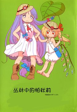 (C84) [Karaageyasan (Karaage Tarou)] Jungle Patche-san (Touhou Project) [Chinese] [诱骗者迪卡伊个人汉化]