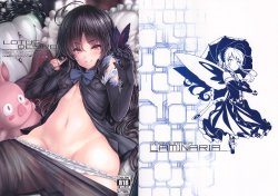 (C82) [LAMINARIA (Shiokonbu)] LOTUS DESIRE (Accel World)[Chinese][漫遊中的蟲譯／final改圖]