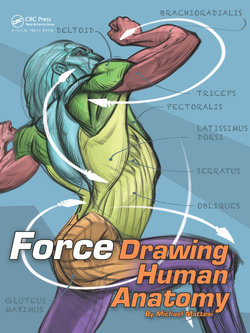 Force. Drawing human anatomy - Michael D. Mattesi [Digital]