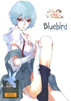(C77) [Hapoi-Dokoro (Okazaki Takeshi)] Bluebird (Neon Genesis Evangelion) [Chinese] [萌动汉化组]