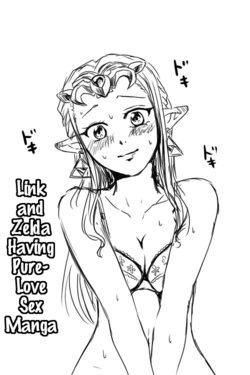 [Wasabi] Link to Zelda ga Jun Ai Ecchi suru Manga | Link and Zelda Having a Pure-Love Sex Manga (The Legend Of Zelda) [English] [rookie84]