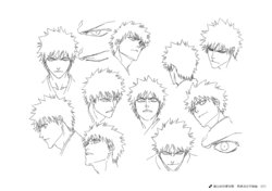 Bleach Animation Reference Materials Settei