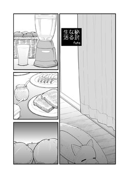 [futa] HifuuLife「Apple」 | 秘封生活「蘋果」 [Chinese] (Touhou Project) [缺了一角的閃刀姬護國戰線]