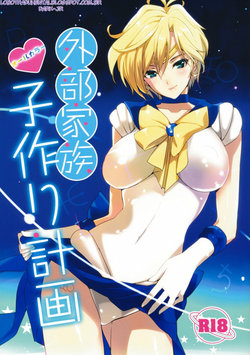 (C80) [ROUTE1 (Taira Tsukune)] Gaibu Kazoku Kozukuri Keikaku (Bishoujo Senshi Sailor Moon) [Portuguese-BR] [Lobozero]