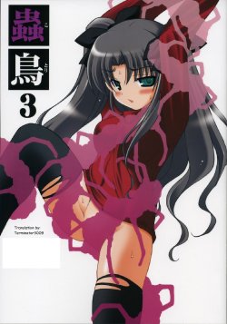(Comic Castle 2006) [Abarenbow Tengu (Izumi Yuujiro)] Kotori 3 (Fate/stay night) [German] [vanillatranslations.wordpress.com]