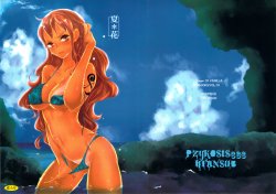 (C82) [Queen Of VANILLA (Tigusa Suzume)] Natsu * Hana | Flor de Verano (One Piece) [Spanish] =P666HF=