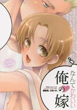 (C86) [Koutetsuro. (Sakiika.)] Nante Kawaii Ore no Yome | How Cute is my Wife (Axis Powers Hetalia) [English]