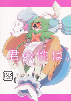 (C91) [Rekukichi-dou (Kanzaki)] Kimi no Sei wa. Your Sex. (Pokémon)