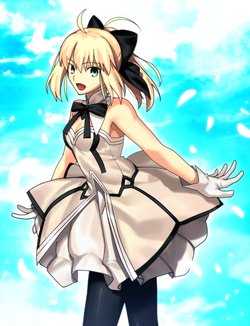 Saber Lily (Fate Series)