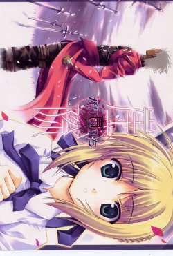 (C67) [Tsubasa (Hinooka Shuuji)] Shin Gakeppuchi (Fate/stay night)