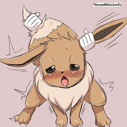 [Negoya] EeveeROlution (Pokemon)