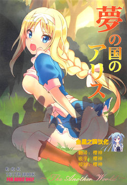 (C95) [RED RIBBON REVENGER (Makoushi)] Yume no Kuni no Alice ~The another world~ (Sword Art Online) [Chinese] [金星之国汉化]