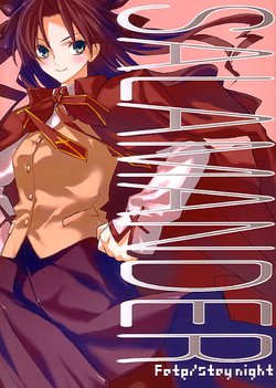 (Comic Castle 2005) [POWER SKILL (Sumihey)] SALAMANDER (Fate/stay night) [Chinese]