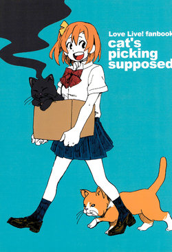 (Bokura no Love Live !12) [GATSNKO! (ZUNKO!)] cat’s picking supposed (Love Live!)