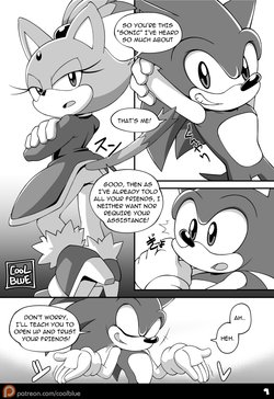 [Coolblue] Sonic & Blaze (Sonic The Hedgehog)