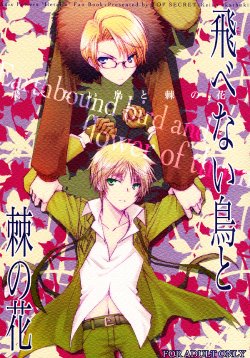 [TOP SECRET (Akatsuki Keiko)] Tobenai Tori to Toge no Hana - Earthbound bird and flower of thorn (Axis Powers Hetalia) [Spanish] [Mirus Mayhem]