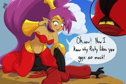 [NSFAni] Shantae and the Tinkerbat