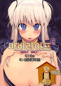 (C76) [Forbidden-Lips (Ryo)] Mabi Life 6 | 마비라이프 6 (Mabinogi) [Korean] [Team Dog Drip]