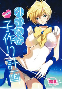 (C80) [ROUTE1 (Taira Tsukune)] Gaibu Kazoku Kozukuri Keikaku (Bishoujo Senshi Sailor Moon) [German] [Kanwa]