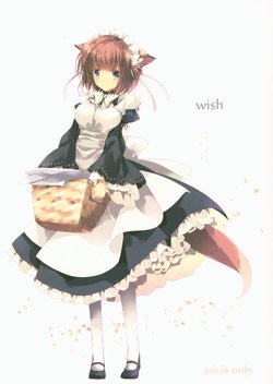 (Mimiket 30) [HyoujouOukoku (Minaduki Haruka)] wish