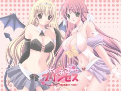 [Ariel Soft] Oshioki Princess ~Tenshi to Akuma no Ecchi na Tatakai~