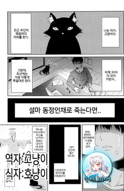 [Nagaikusa] Ningen ni Natta Neko (COMIC Penguin Club Sanzokuban 2016-07) [Korean] [팀 나와 호랑이님]