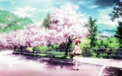 Clannad HQ Wallpapers 2