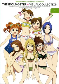 THE iDOLM@STER Visual Collection Vol 2