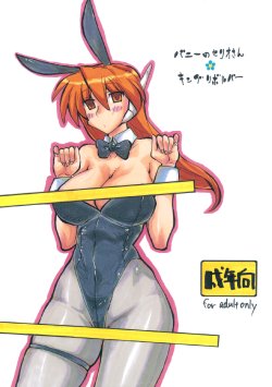 (C73) [King Revolver (Kikuta Kouji)] Bunny no Serio-san (To Heart)