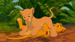 [The Giant Hamster] Simba and Nala (The Lion King)