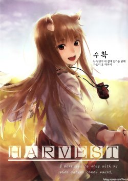 (SC52) [Ajisaidenden (Kawakami Rokkaku, Takanashi Rei)] Harvest (Spice and Wolf) [Korean]