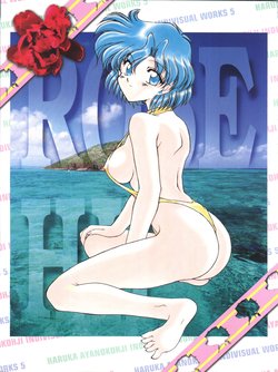 (C52) [Rose Water (Ayanokouji Haruka)] Rose Water 5 Rose Hip (Bishoujo Senshi Sailor Moon)