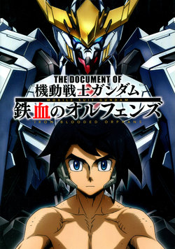 The Document of Mobile Suit Gundam Iron-Blooded Orphans
