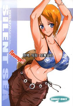 (C70) [Youkai Tamanokoshi (CHIRO)] SILENT SEA Revenge!! (One Piece) [Korean] {보통남자}
