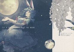 (Kouroumu 12) [Hitomachiko (Hichiko)] Usagi o Tsuki ni Tsuretette - Fly a Frozen Rabbit to the Moon (Touhou Project)