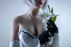 Sayathefox 2B the white body